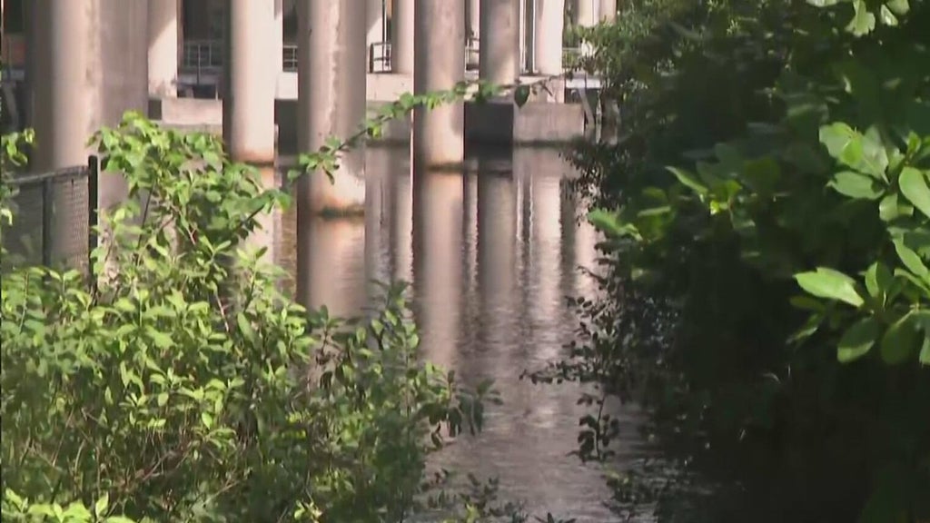 Fort Lauderdale pump station moved over 50 million gallons in September; king tide test looms — CBS Miami, Weston Community news