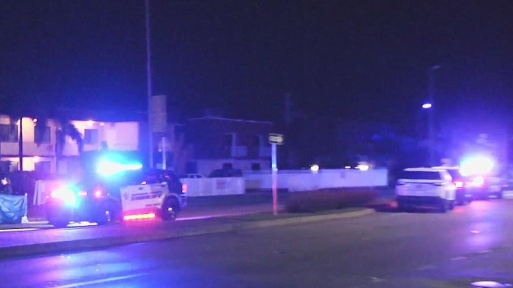 Woman accused of killing man in Dania Beach hit-and-run, BSO says — CBS Miami, Weston Community news