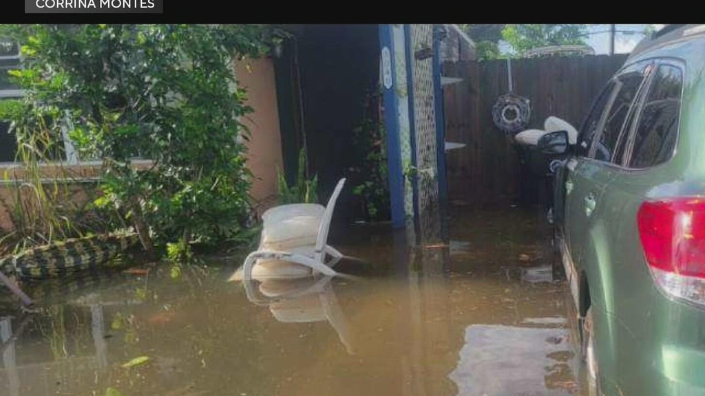 Residents say fear of inspections, paperwork keep many from applying for flood recovery grants — CBS Miami, Weston Community news