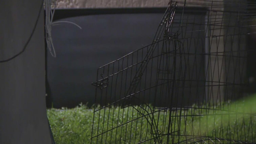 911 call captures frantic report of dog chasing, biting children in Miami — CBS Miami, Weston Health news
