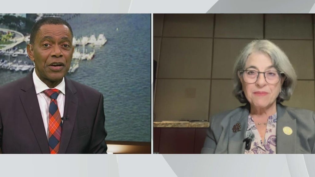 Miami-Dade mayor Daniella Levine Cava speaks on Amendment 3 opposition and county budget woes — CBS Miami, Weston Government news
