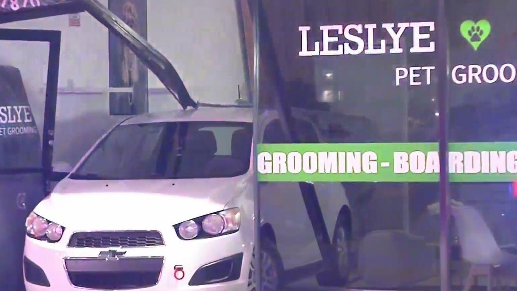 Car crashes into Doral pet grooming shop; no one hurt — CBS Miami, Weston Business news