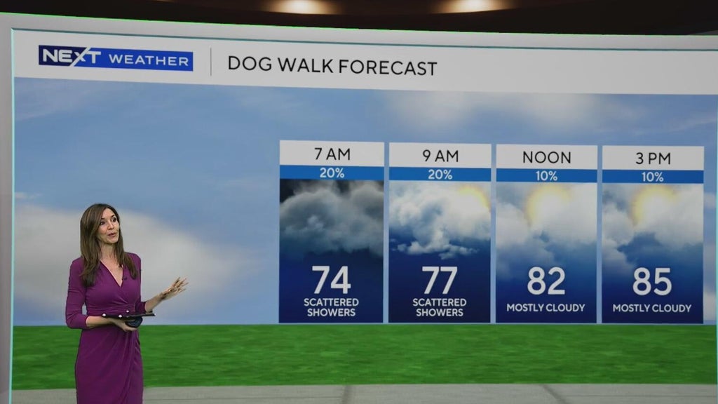 South Florida sees some showers Tuesday, but rain chances rise by end of week — CBS Miami, Weston Community news