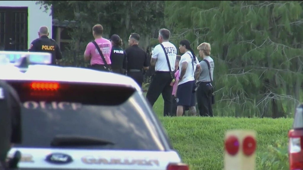 12-foot alligator kills 71-year-old man fishing in Florida lake — CBS Miami, Weston Community news