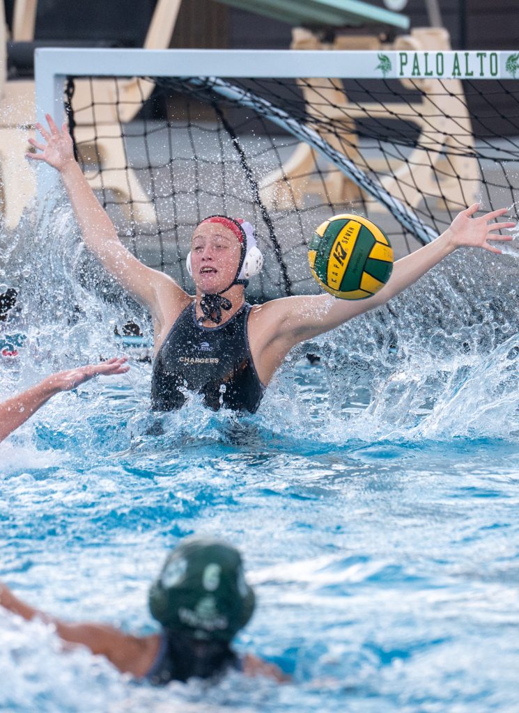 Wilcox Water Polo Caught in Vikings Rip Current — Silicon Valley Voice