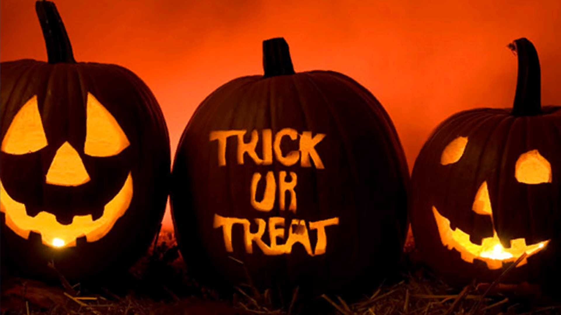 Halloween fun across the Treasure Coast and Palm Beach — WPBF West Palm Beach, Weston Arts news