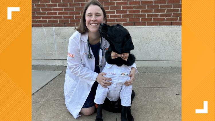 'Dogtor Walsh' reports for duty on the UT campus — KENS 5 (San Antonio), Weston Schools news