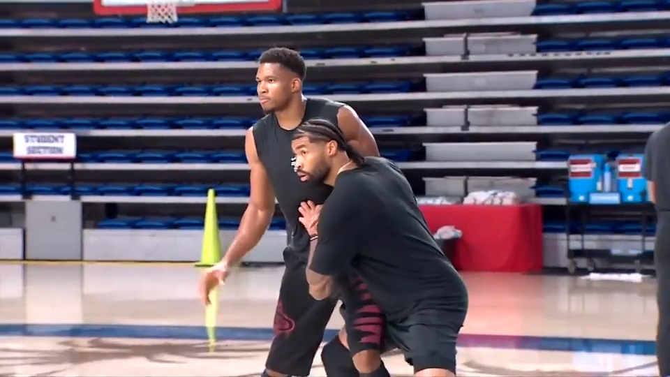 Giannis Antetokounmpo and the Miami Heat could be a perfect title-chasing pairing — WSVN Sports, Weston Health news